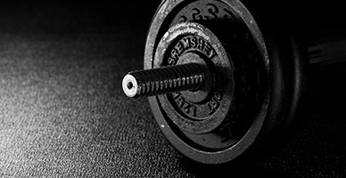 gym-fitness